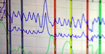 film a polygraph